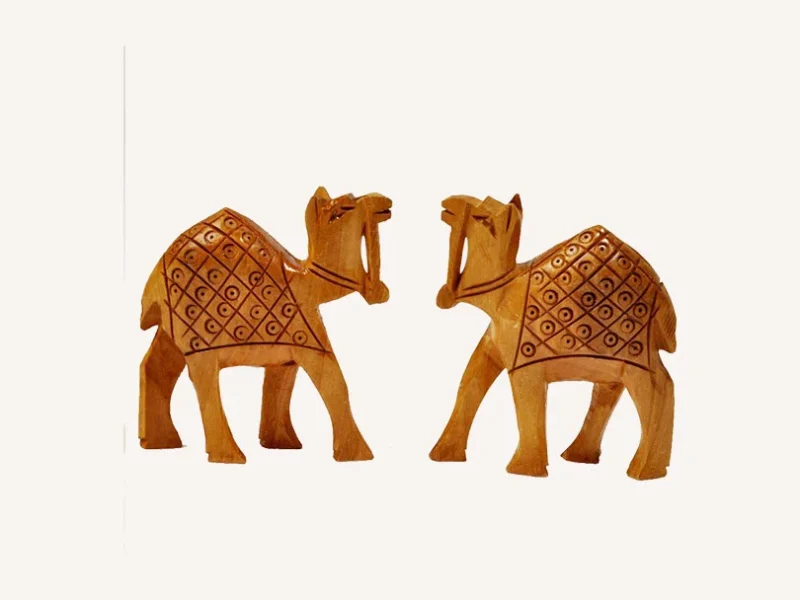 Camel Double Pices