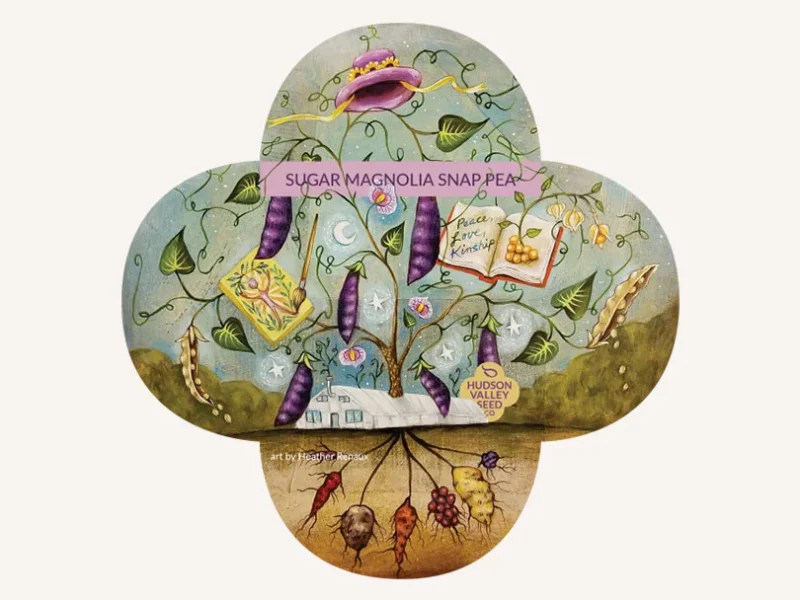 Fish Decoration